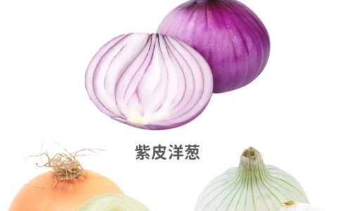 老人营养晚餐网 | 老人营养跟不上怎么补,老人营养晚餐吃什么好